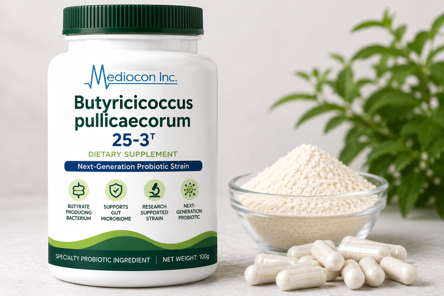 Butyricicoccus pullicaecorum 25-3T Manufacturer and Supplier in India | Mediocon INC — Mediocon Inc