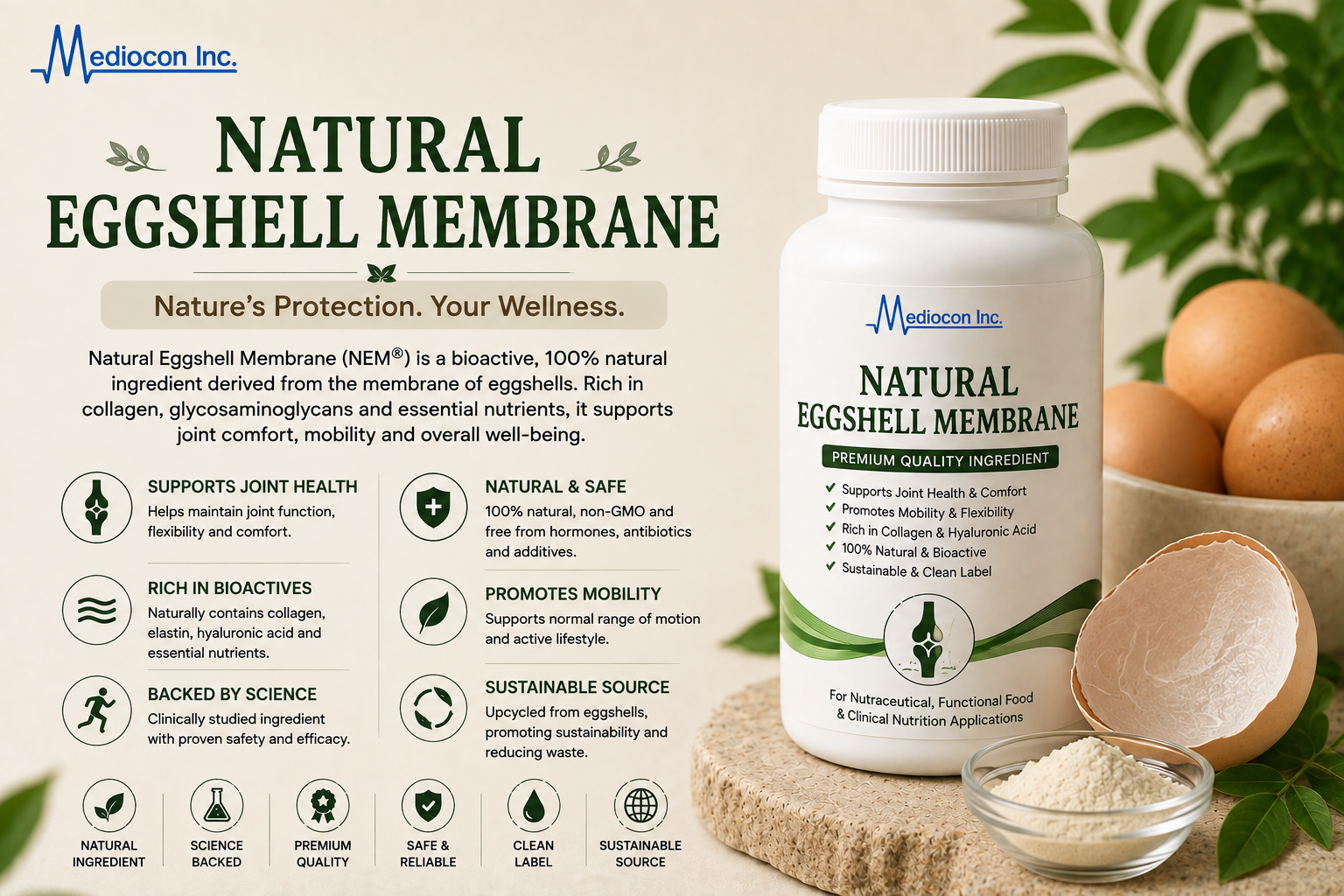 Natural Eggshell Membrane Manufacturer and Supplier in India — Mediocon Inc