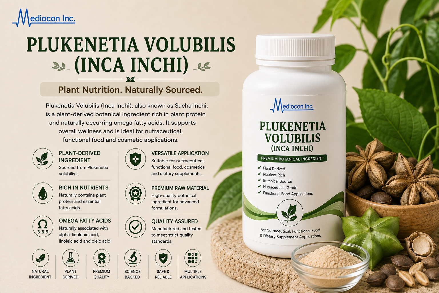 Plukenetia Volubilis (Inca Inchi) Manufacturer and Supplier in India — Mediocon Inc