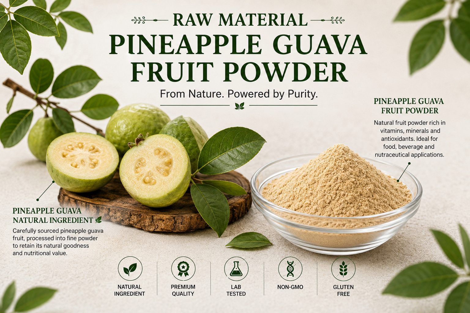 Pineapple Guava Fruit Powder Manufacturer and Supplier in India | Mediocon INC — Mediocon Inc