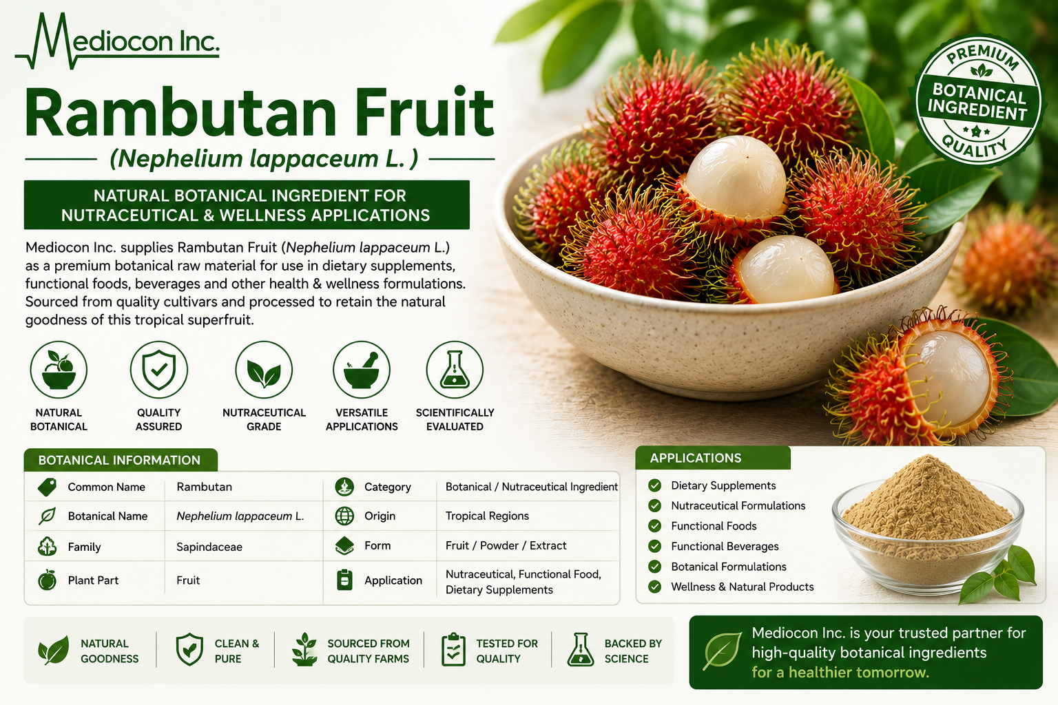 Rambutan Fruit (Nephelium lappaceum L.) Manufacturer and Supplier in India | Mediocon INC — Mediocon Inc
