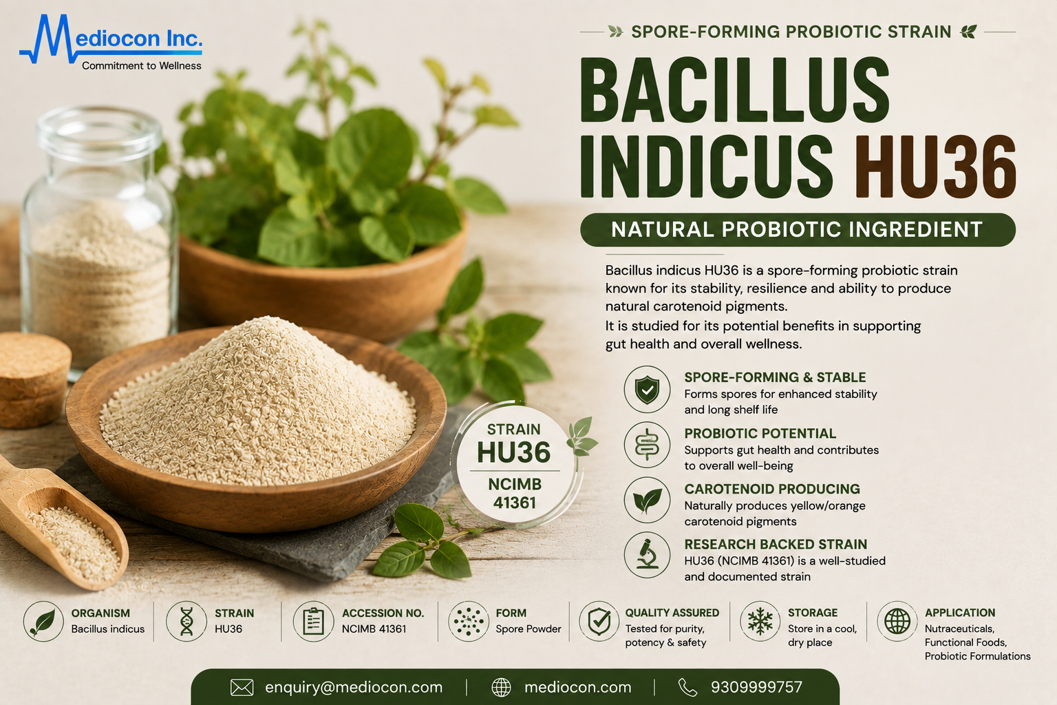 Bacillus indicus HU36 Manufacturer & Supplier in India | MEDIOCON INC — Mediocon Inc
