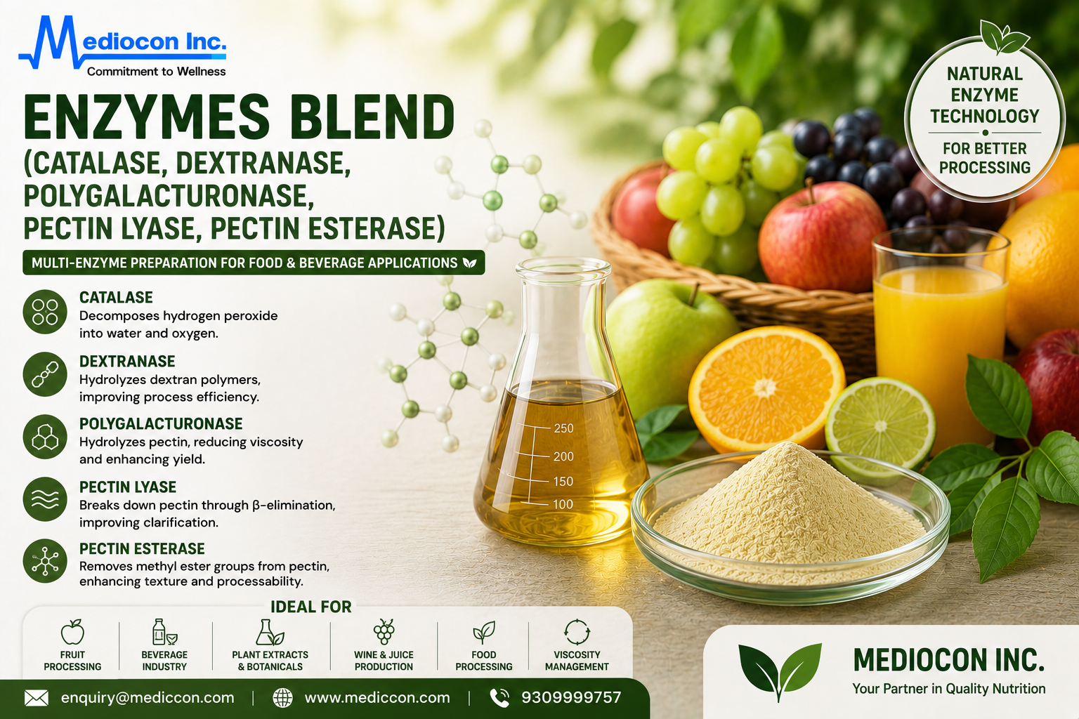 Enzymes (Catalase, Dextranase, Polygalacturonase, Pectin Lyase & Pectin Esterase) Manufacturer & Supplier in India | MEDIOCON INC — Mediocon Inc