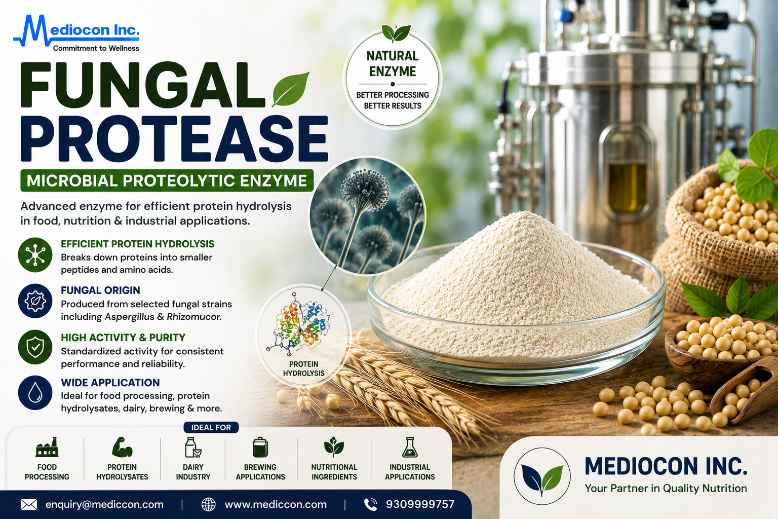 Fungal Protease Manufacturer & Supplier in India | MEDIOCON INC — Mediocon Inc