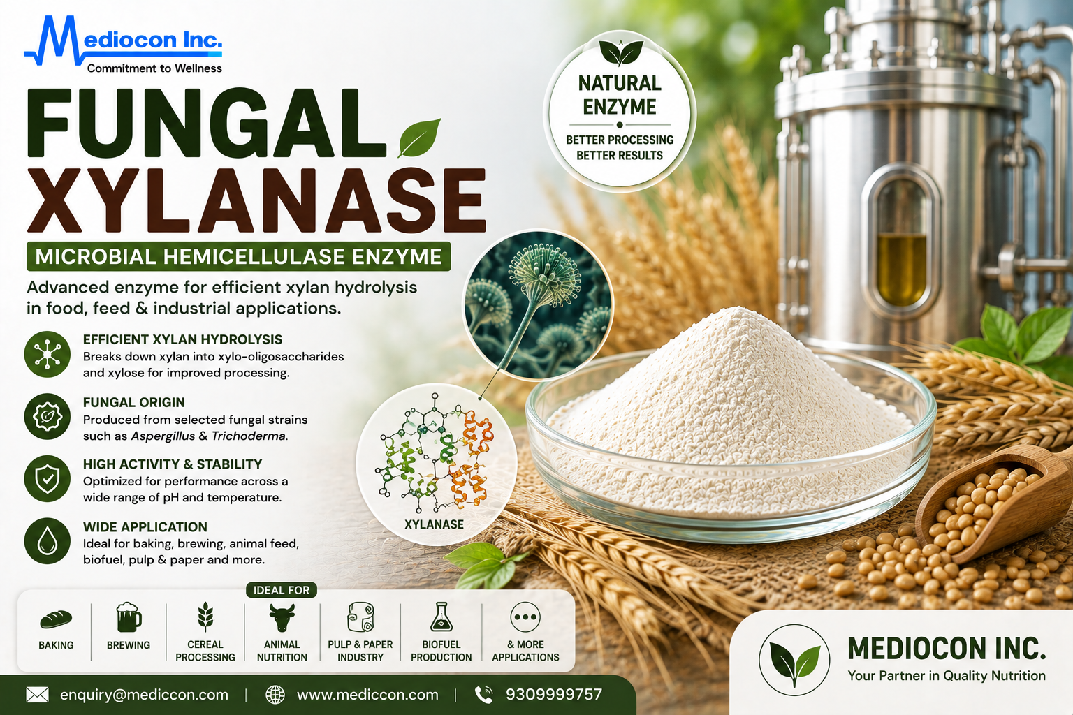 Fungal Xylanase Manufacturer & Supplier in India | MEDIOCON INC — Mediocon Inc