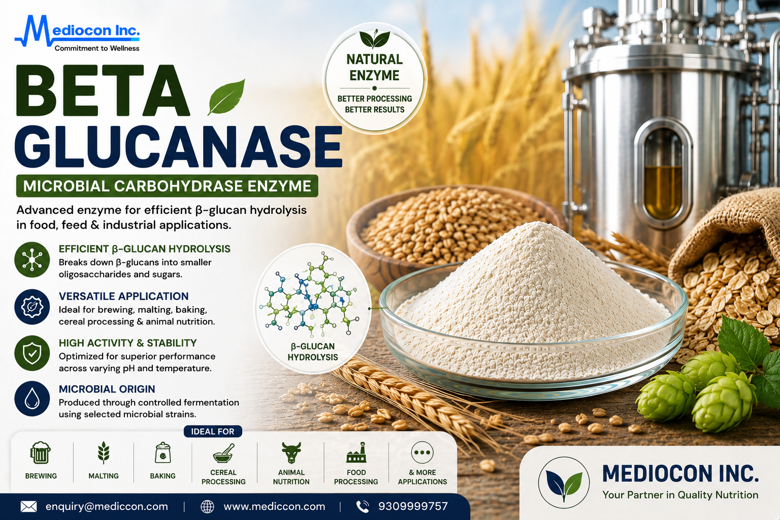 Beta Glucanase Manufacturer & Supplier in India | MEDIOCON INC — Mediocon Inc