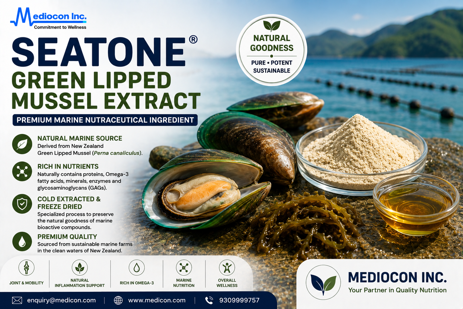 Seatone® Green Lipped Mussel Extract Manufacturer & Supplier in India | MEDIOCON INC — Mediocon Inc