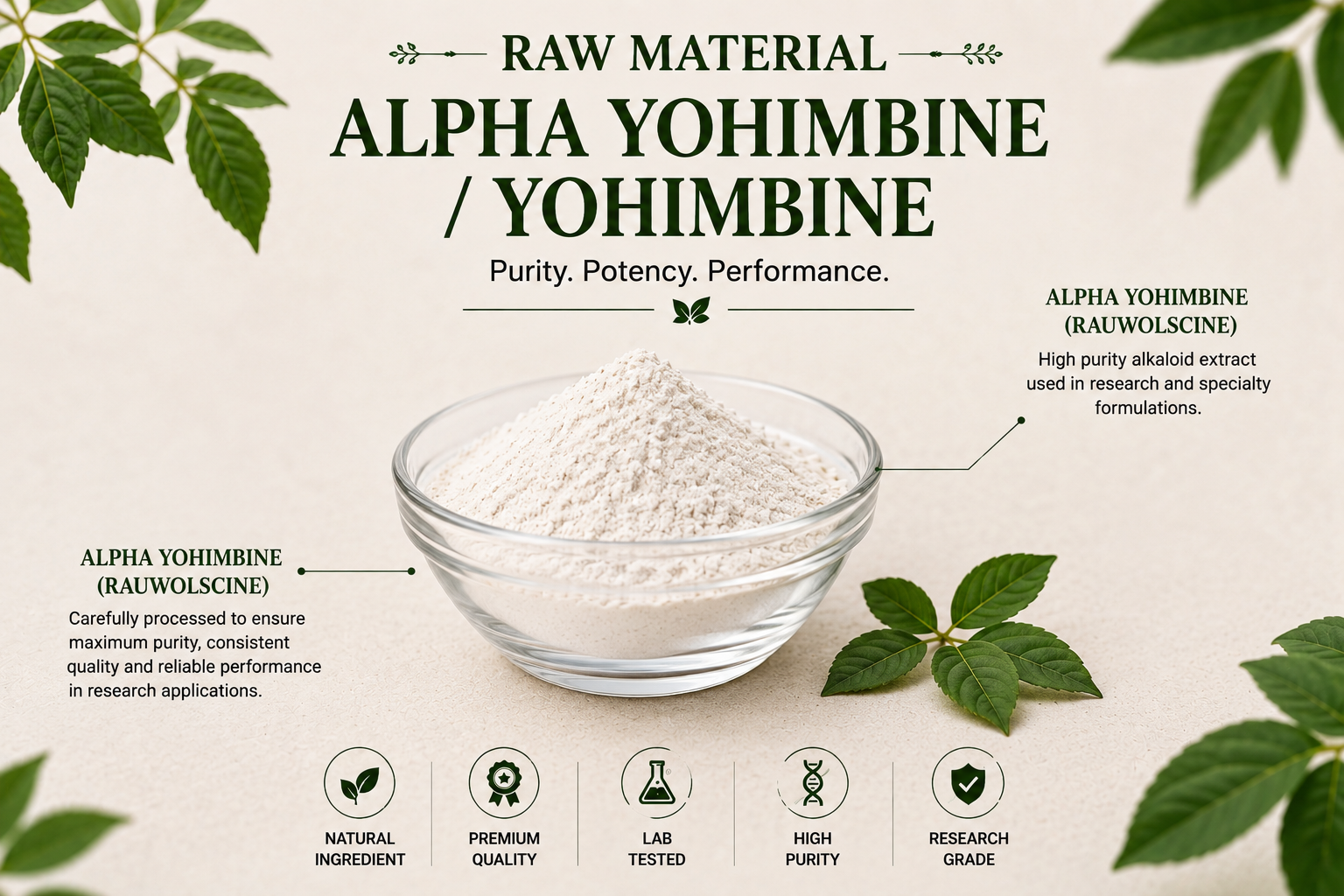 Alpha Yohimbine / Yohimbine Manufacturer and Supplier in India — Mediocon Inc