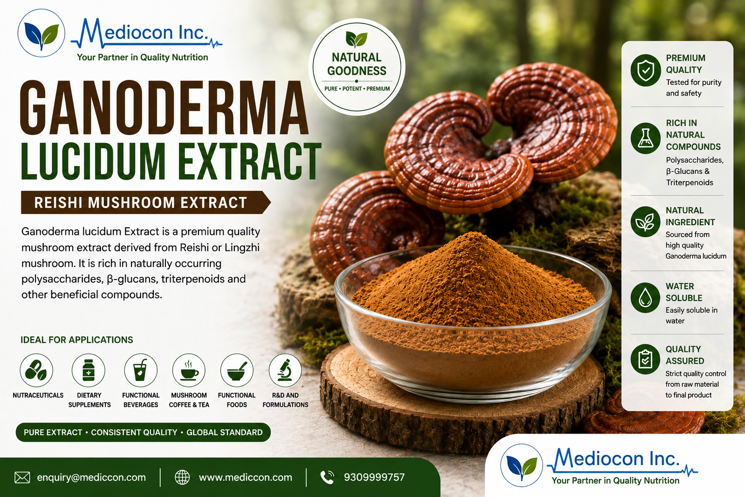 Ganoderma lucidum Extract Manufacturer & Supplier in India | MEDIOCON INC — Mediocon Inc
