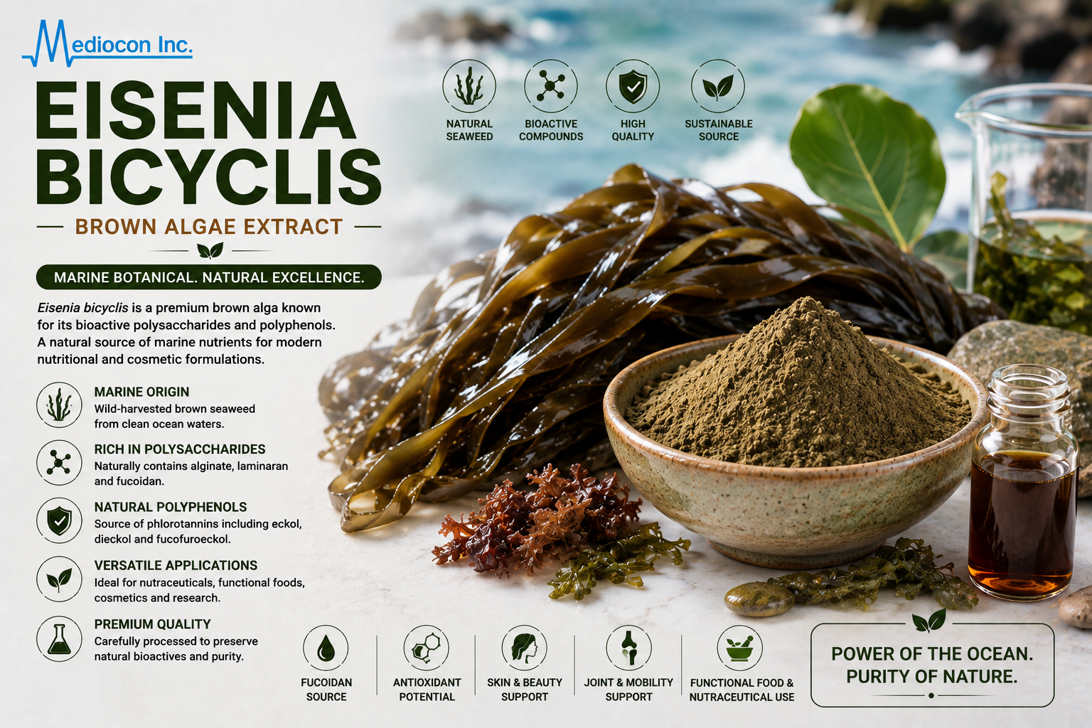 Eisenia bicyclis Manufacturer & Supplier in India | MEDIOCON INC — Mediocon Inc