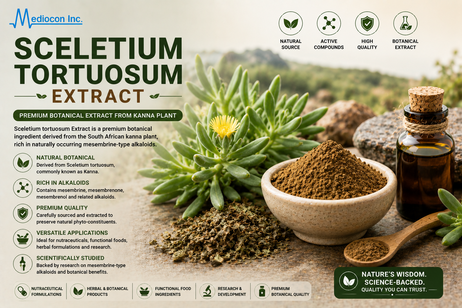 Sceletium tortuosum Extract Manufacturer & Supplier in India | MEDIOCON INC — Mediocon Inc