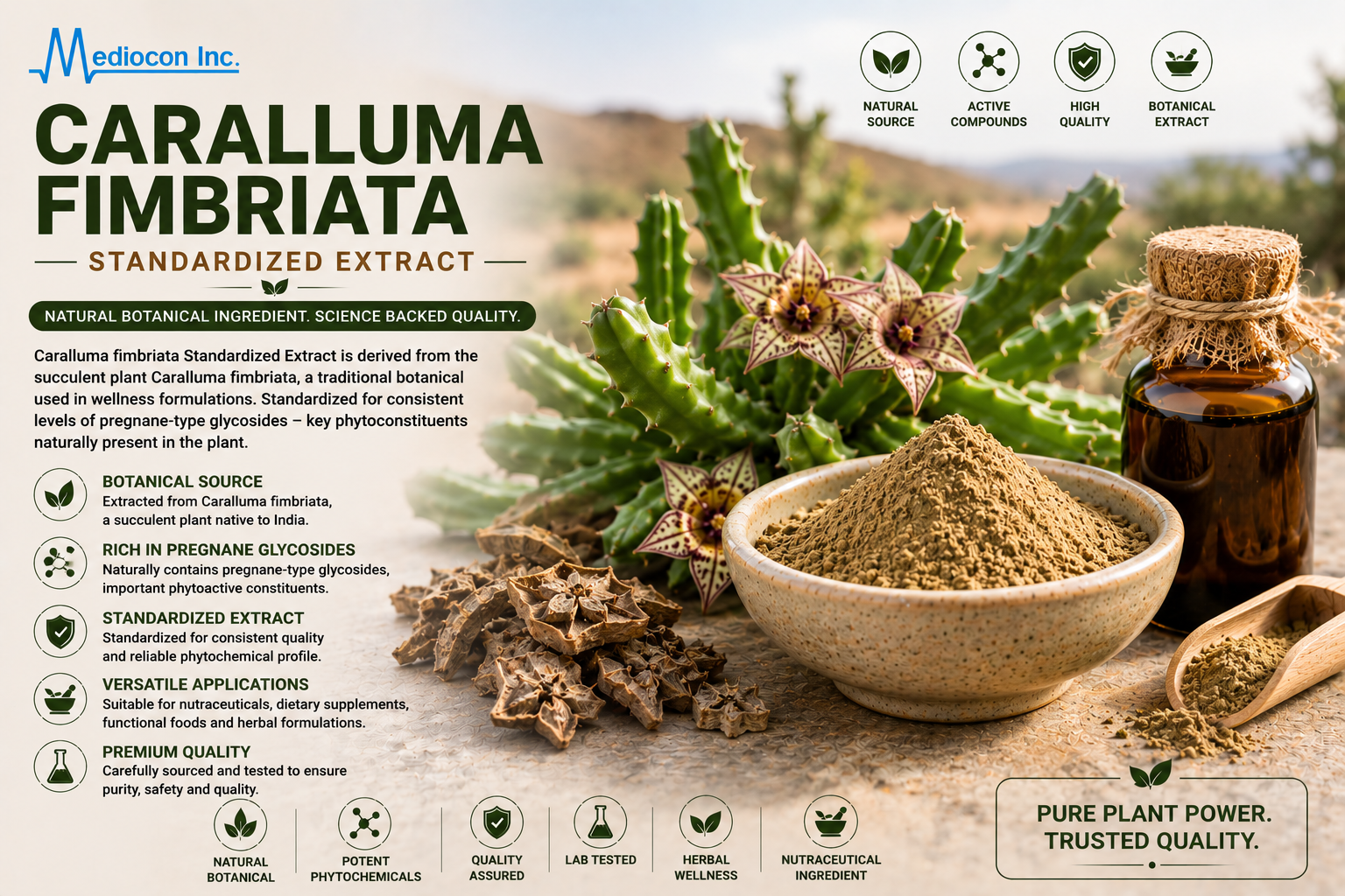 Caralluma fimbriata Standardized Extract Manufacturer & Supplier in India | MEDIOCON INC — Mediocon Inc