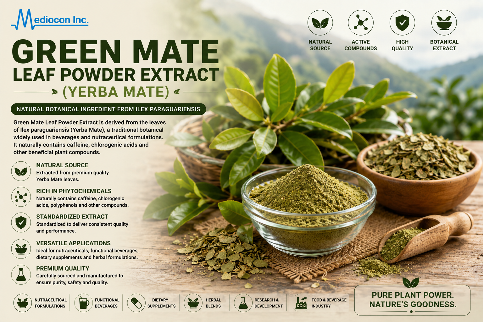 Green Mate Leaf Powder Extract (Yerba Mate) Manufacturer & Supplier in India | MEDIOCON INC — Mediocon Inc
