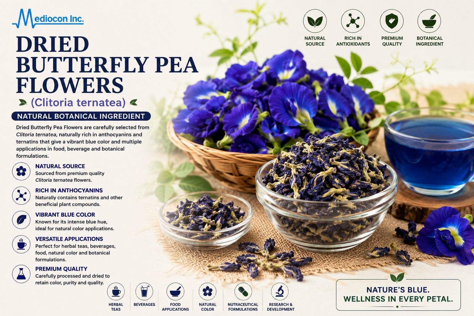 Dried Butterfly Pea Flowers Manufacturer & Supplier in India | MEDIOCON INC — Mediocon Inc