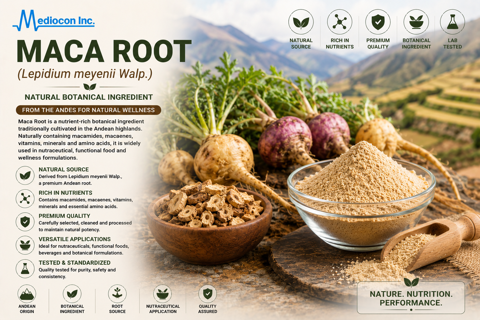 MACA Root Manufacturer & Supplier in India | MEDIOCON INC — Mediocon Inc
