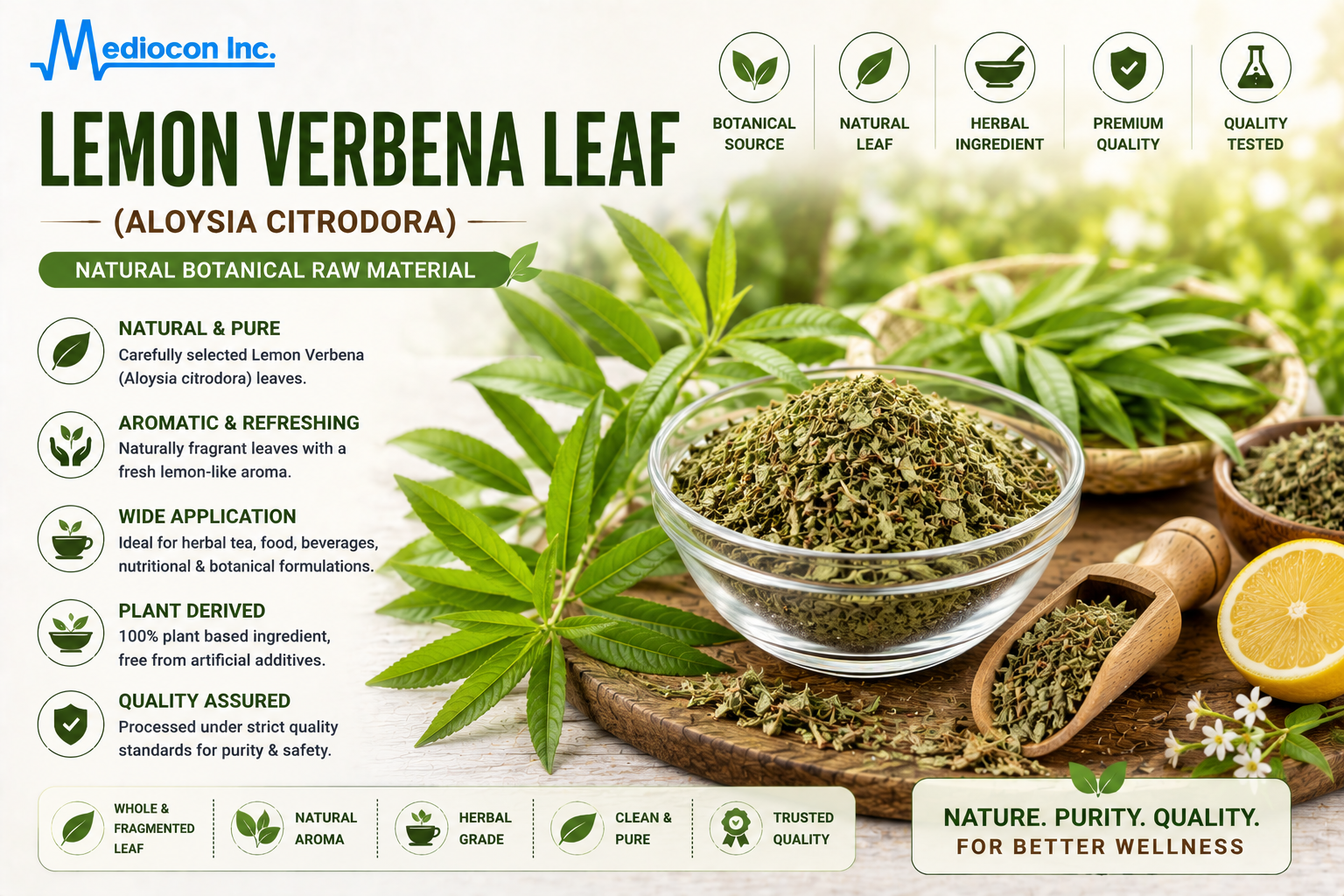 Lemon Verbena Leaf (Aloysia citrodora) Manufacturer & Supplier in India | MEDIOCON INC — Mediocon Inc