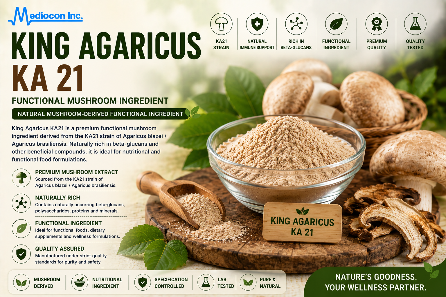 King Agaricus KA 21 Manufacturer & Supplier in India | MEDIOCON INC — Mediocon Inc