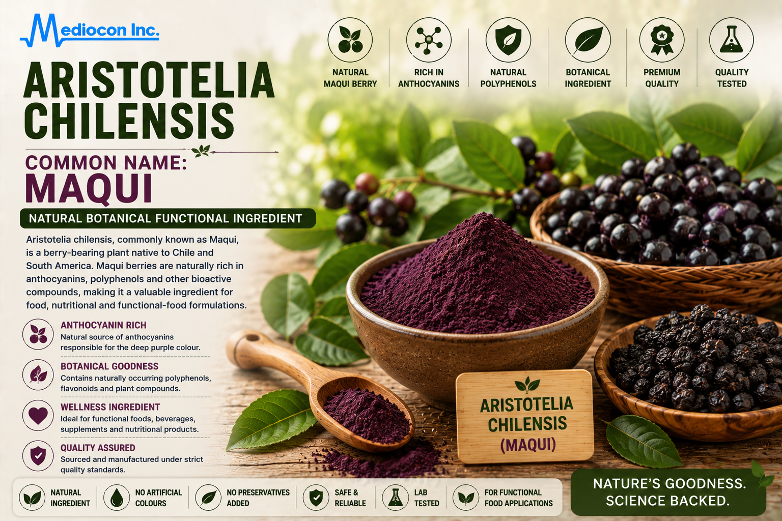 Aristotelia chilensis (Maqui) Manufacturer & Supplier in India | MEDIOCON INC — Mediocon Inc