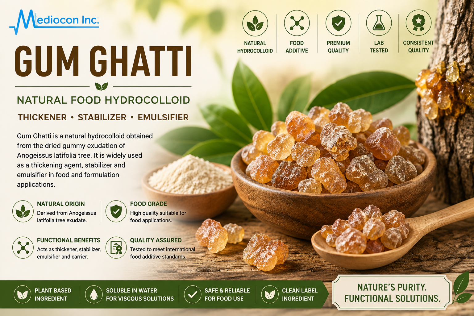 Gum Ghatti Manufacturer & Supplier in India | MEDIOCON INC — Mediocon Inc