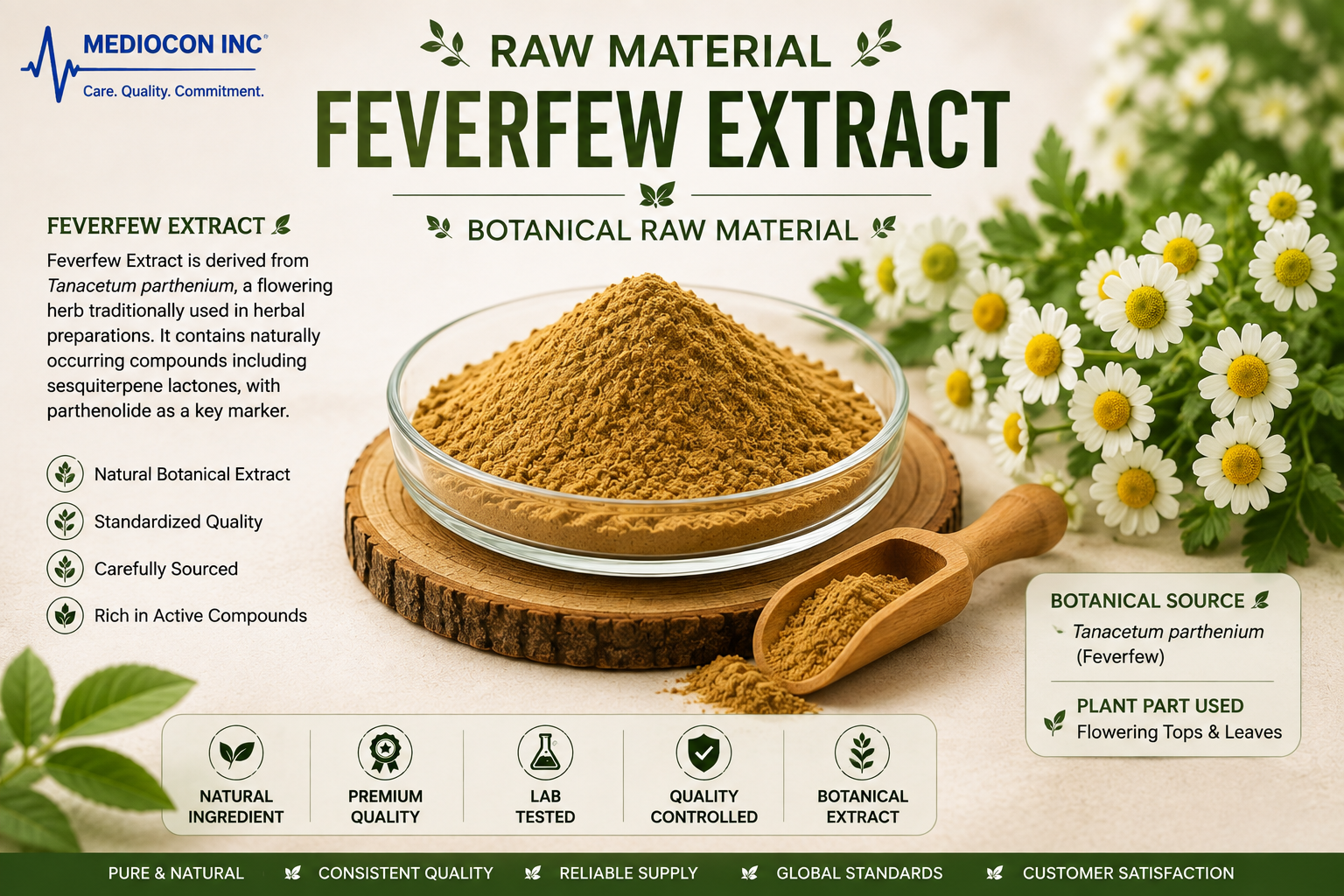 Feverfew Extract Manufacturer & Supplier in India | MEDIOCON INC — Mediocon Inc