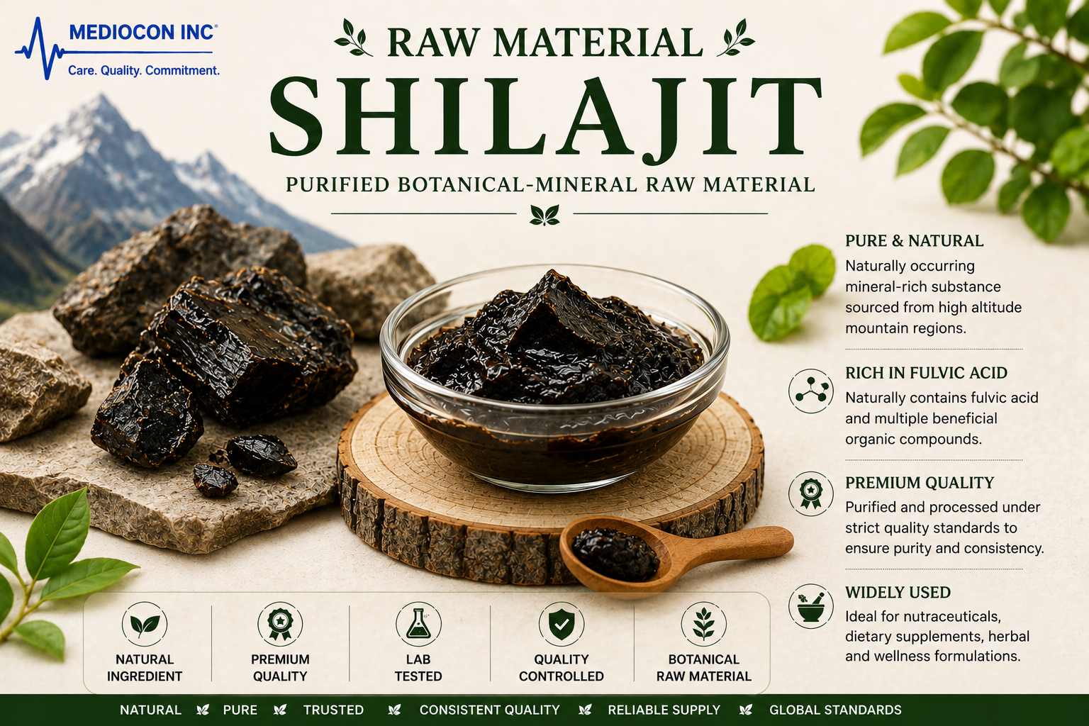 Shilajit Manufacturer & Supplier in India | MEDIOCON INC — Mediocon Inc