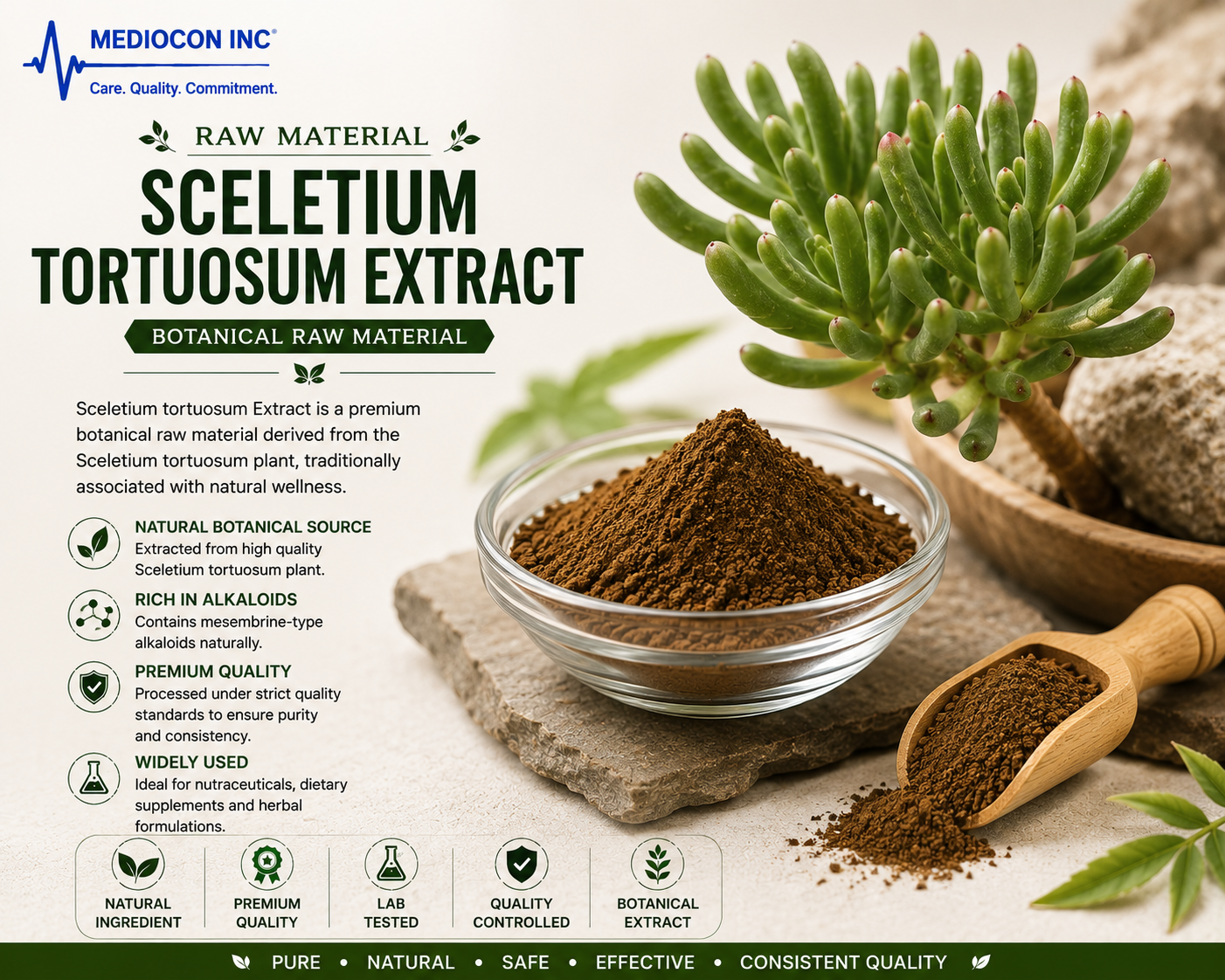 Sceletium tortuosum Extract Manufacturer & Supplier in India | MEDIOCON INC — Mediocon Inc