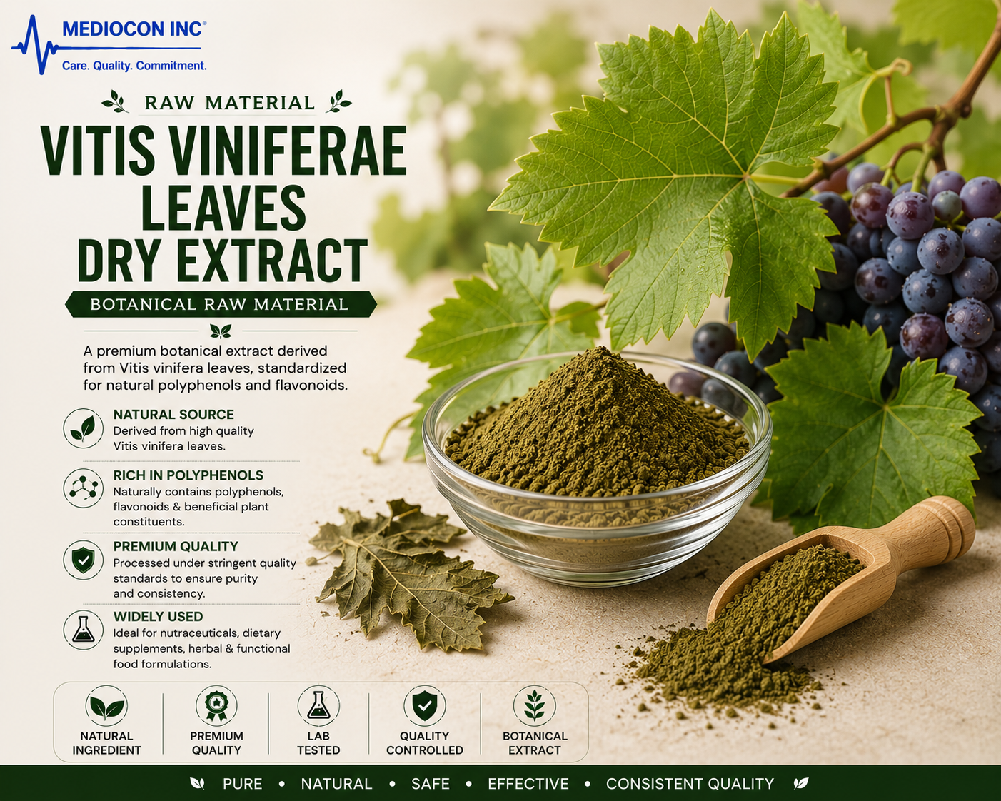 Vitis viniferae Leaves Dry Extract Manufacturer & Supplier in India | MEDIOCON INC — Mediocon Inc