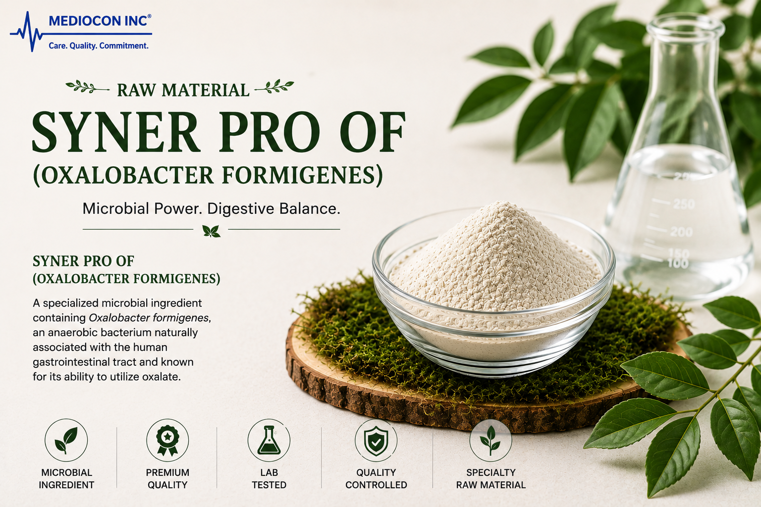 Syner Pro OF (Oxalobacter formigenes) Manufacturer & Supplier in India | MEDIOCON INC — Mediocon Inc