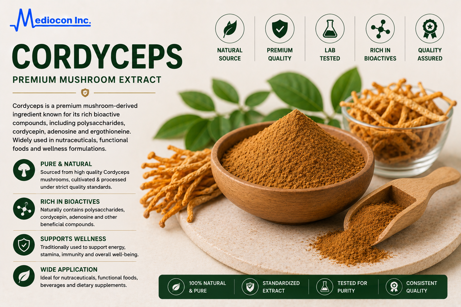 Cordyceps Manufacturer & Supplier in India | MEDIOCON INC — Mediocon Inc