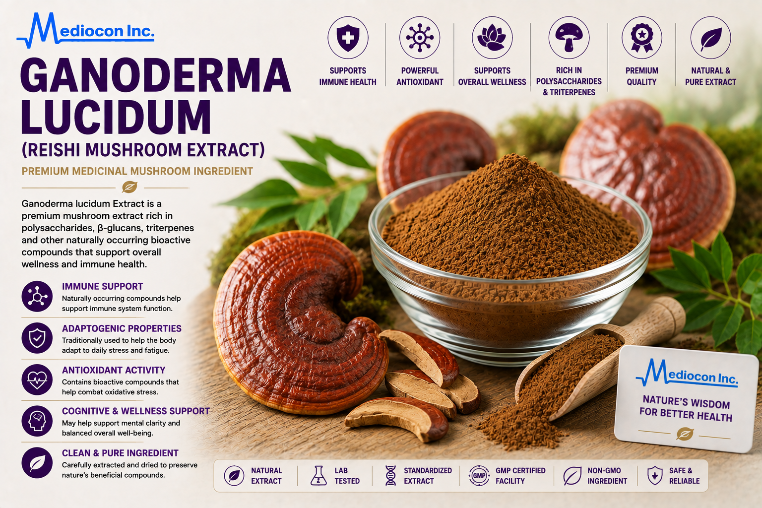 Ganoderma Lucidum (Reishi Mushroom Extract) Manufacturer & Supplier in India | MEDIOCON INC — Mediocon Inc