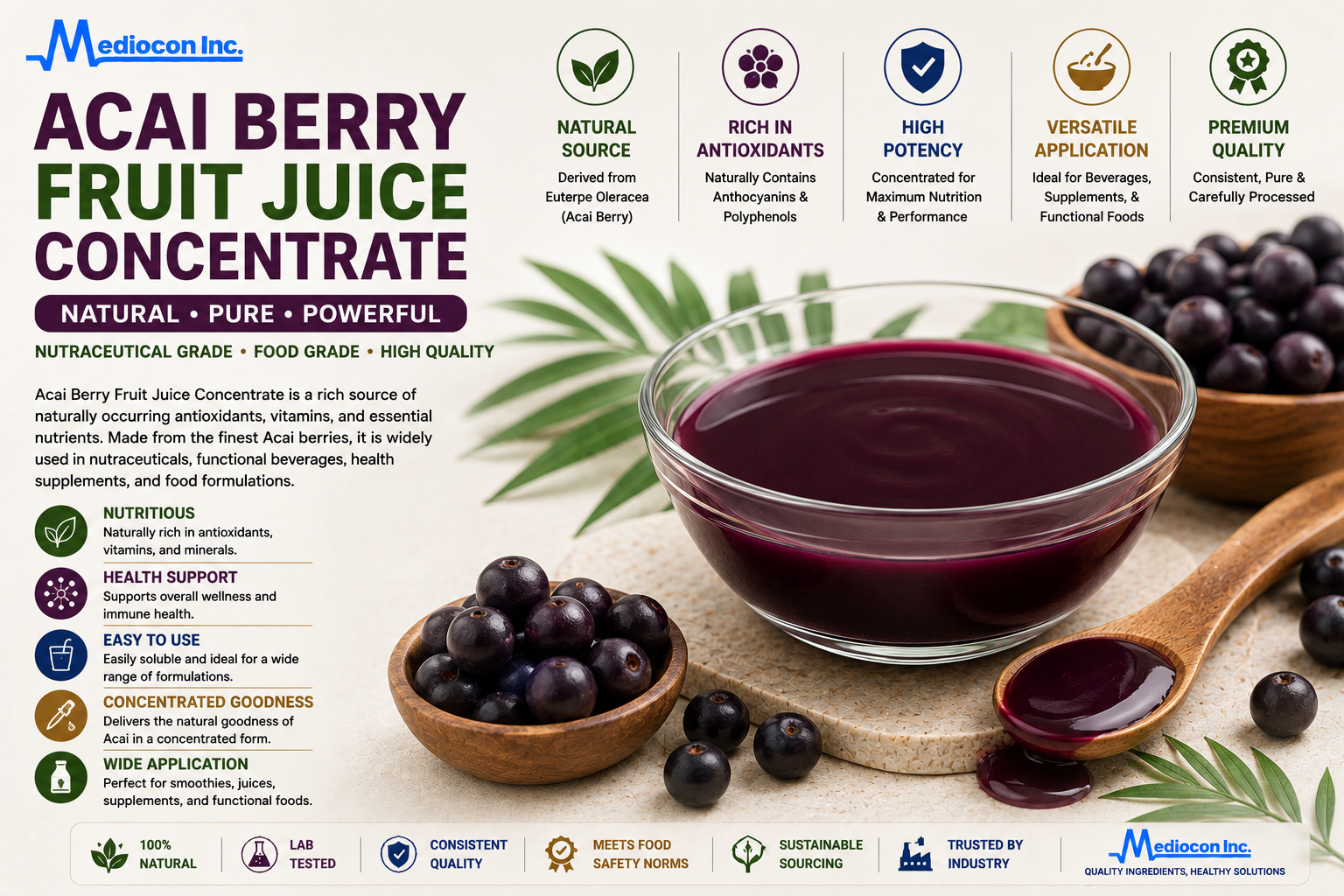 Acai Berry Fruit Juice Concentrate Manufacturer & Supplier in India | MEDIOCON INC — Mediocon Inc