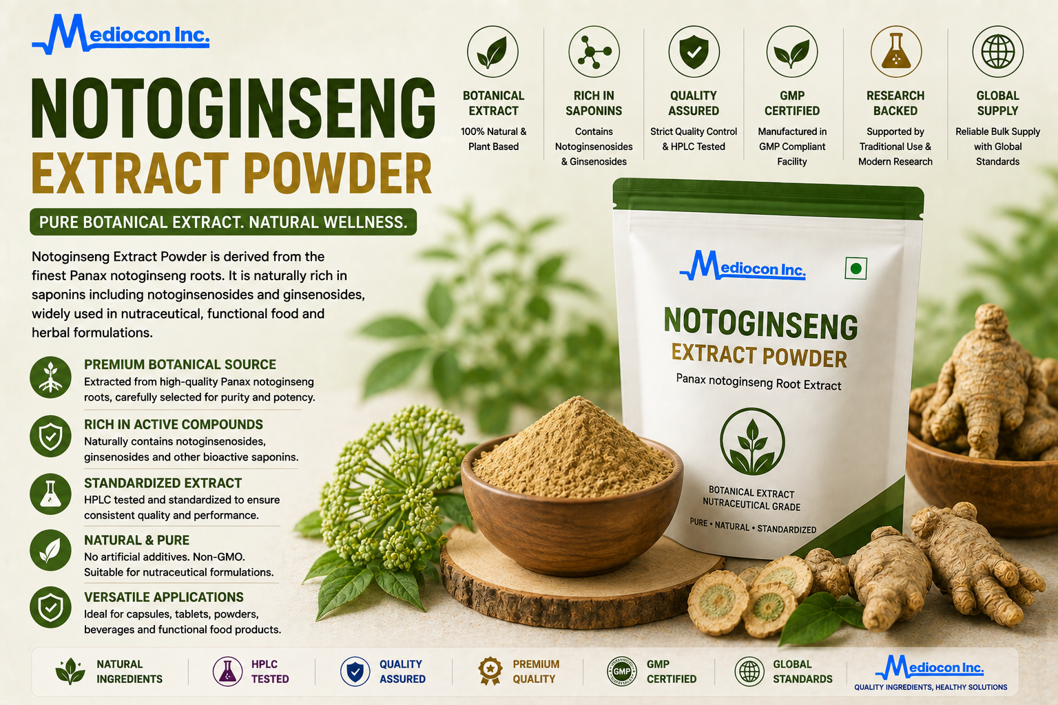Notoginseng Extract Powder Manufacturer & Supplier in India | MEDIOCON INC — Mediocon Inc