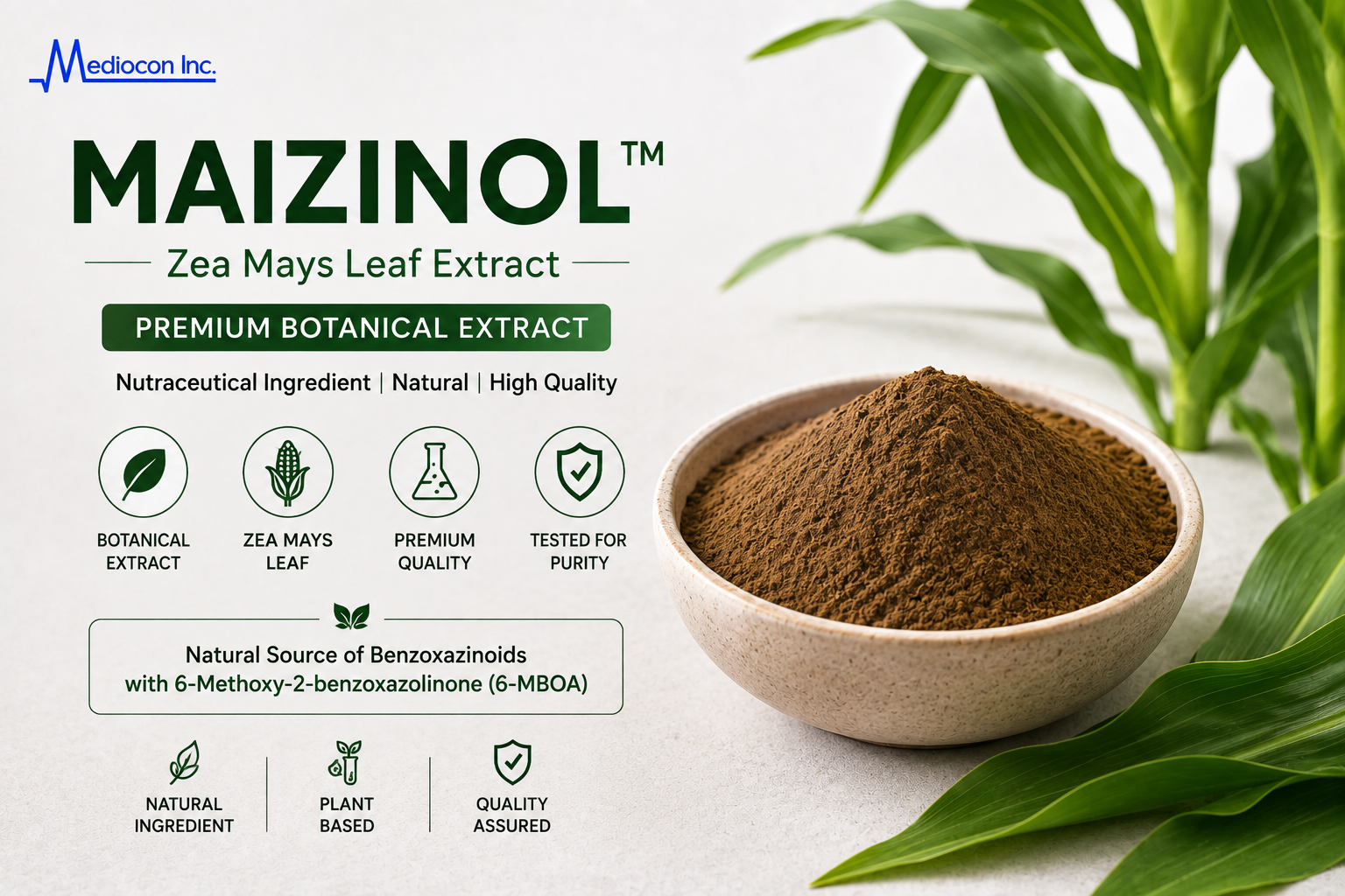 Maizinol™ Zea mays Leaf Extract Manufacturer and Supplier in India | MEDIOCON INC — Mediocon Inc