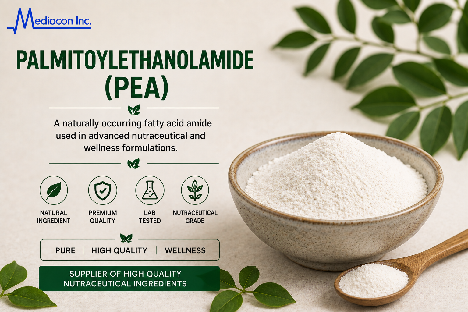Palmitoylethanolamide (PEA) Manufacturer and Supplier in India | MEDIOCON INC — Mediocon Inc