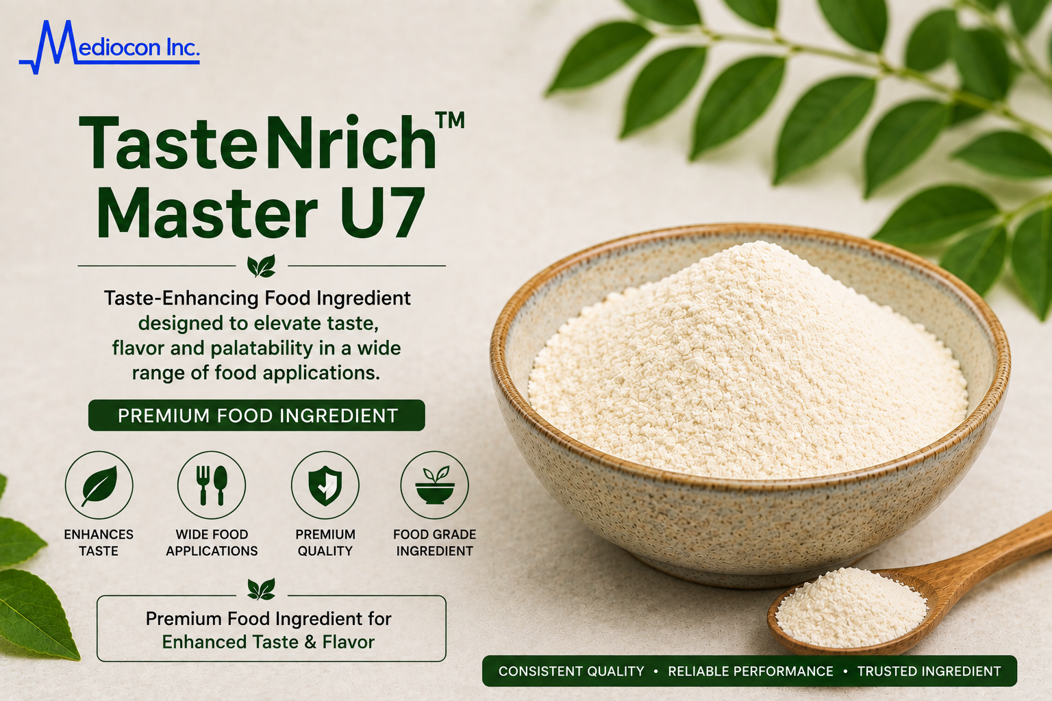 TasteNrich™ Master U7 Manufacturer and Supplier in India | MEDIOCON INC — Mediocon Inc