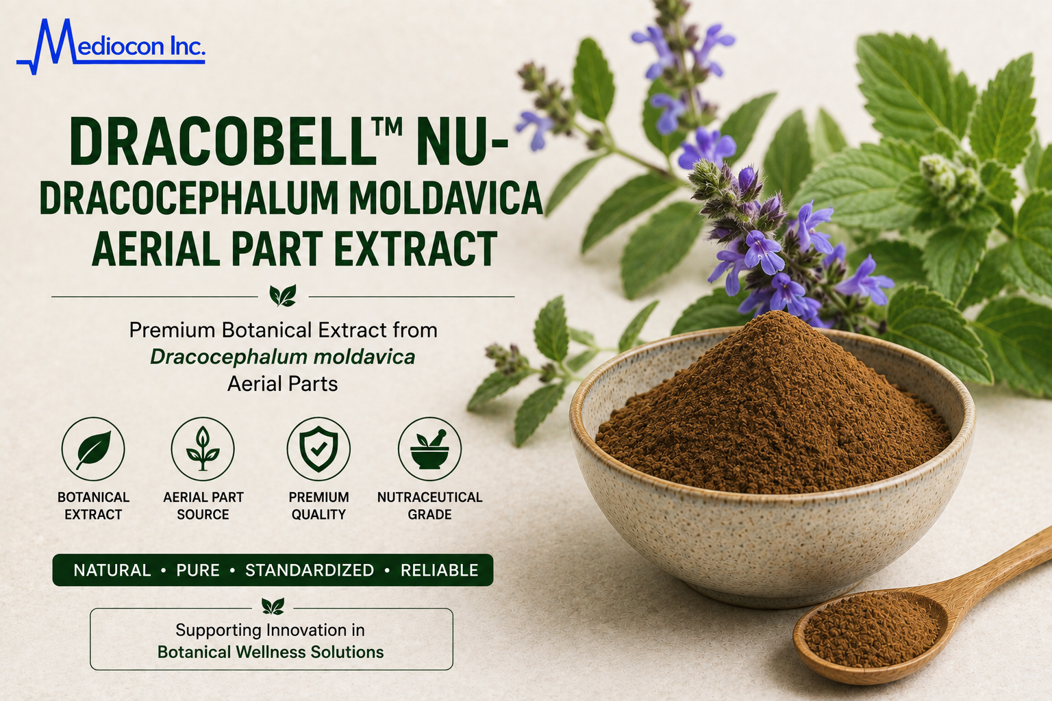 Dracobell™ Nu-Dracocephalum moldavica Aerial Part Extract Manufacturer and Supplier in India | MEDIOCON INC — Mediocon Inc
