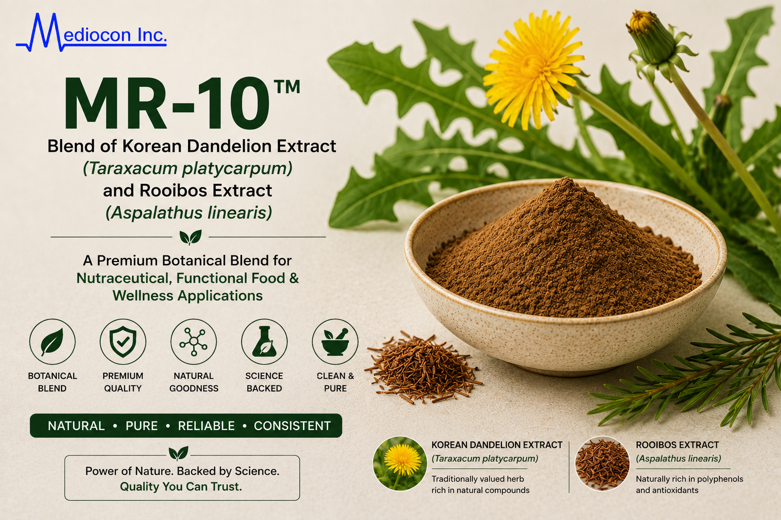 MR-10™ Korean Dandelion & Rooibos Extract Manufacturer and Supplier in India | MEDIOCON INC — Mediocon Inc