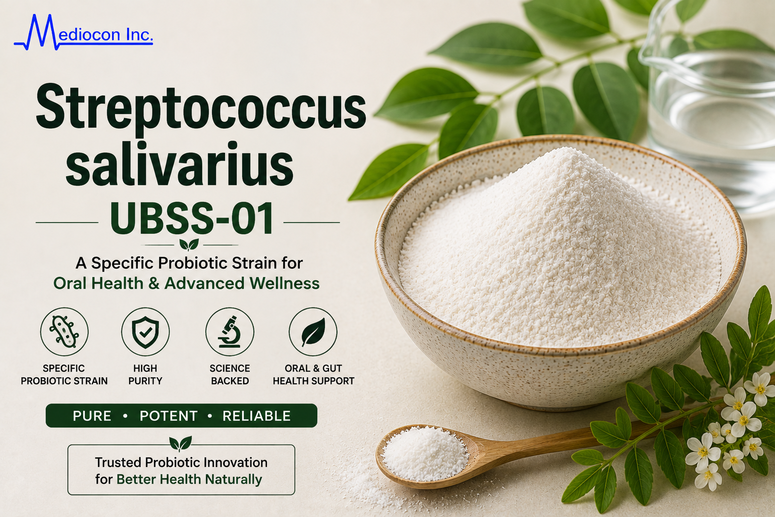 Streptococcus salivarius UBSS-01 Manufacturer and Supplier in India | MEDIOCON INC — Mediocon Inc