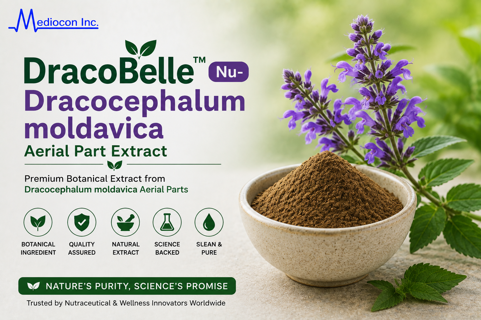 DracoBelle™ Dracocephalum moldavica Aerial Part Extract Manufacturer and Supplier in India | MEDIOCON INC — Mediocon Inc