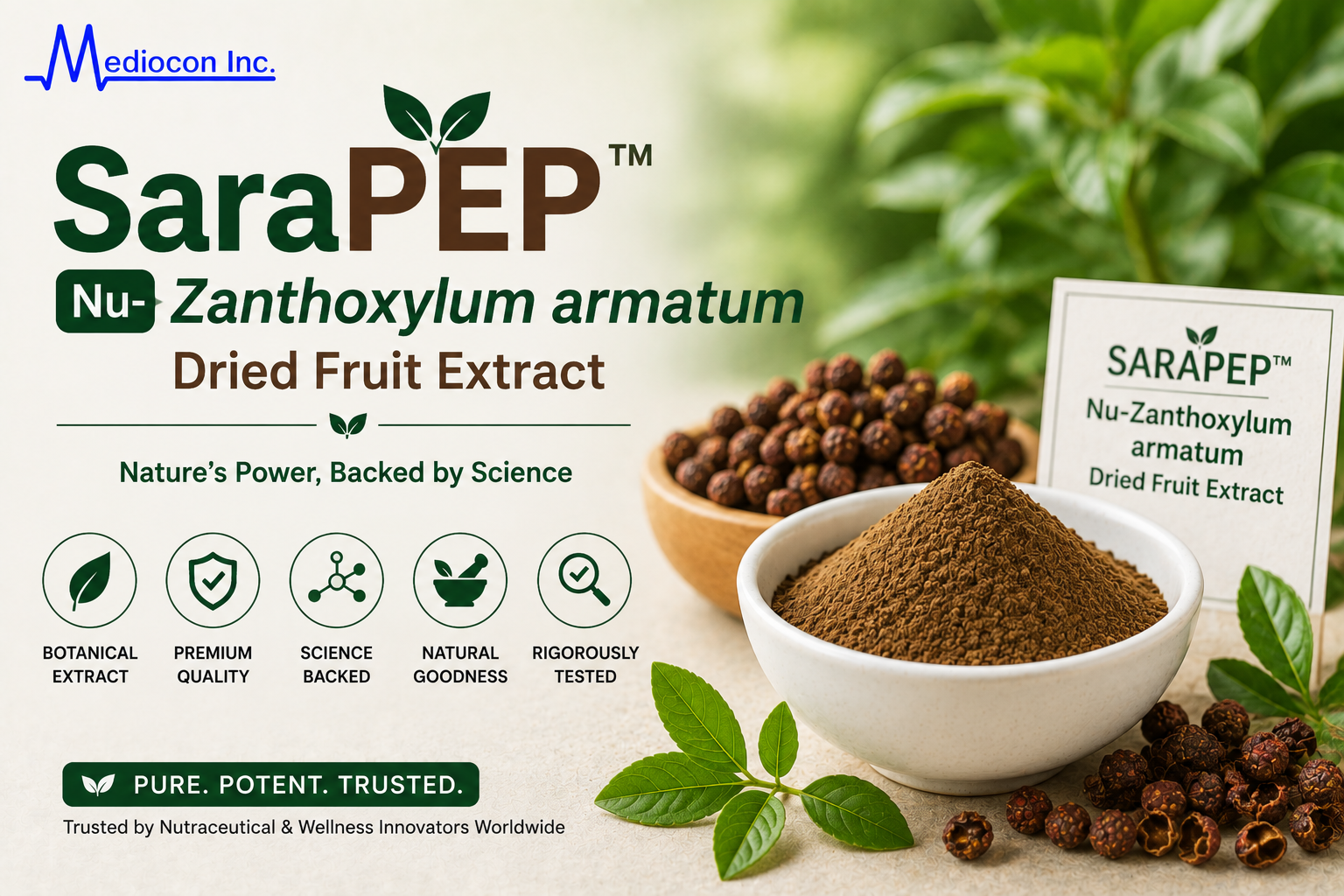 SaraPEP™ Zanthoxylum armatum Dried Fruit Extract Manufacturer and Supplier in India | MEDIOCON INC — Mediocon Inc