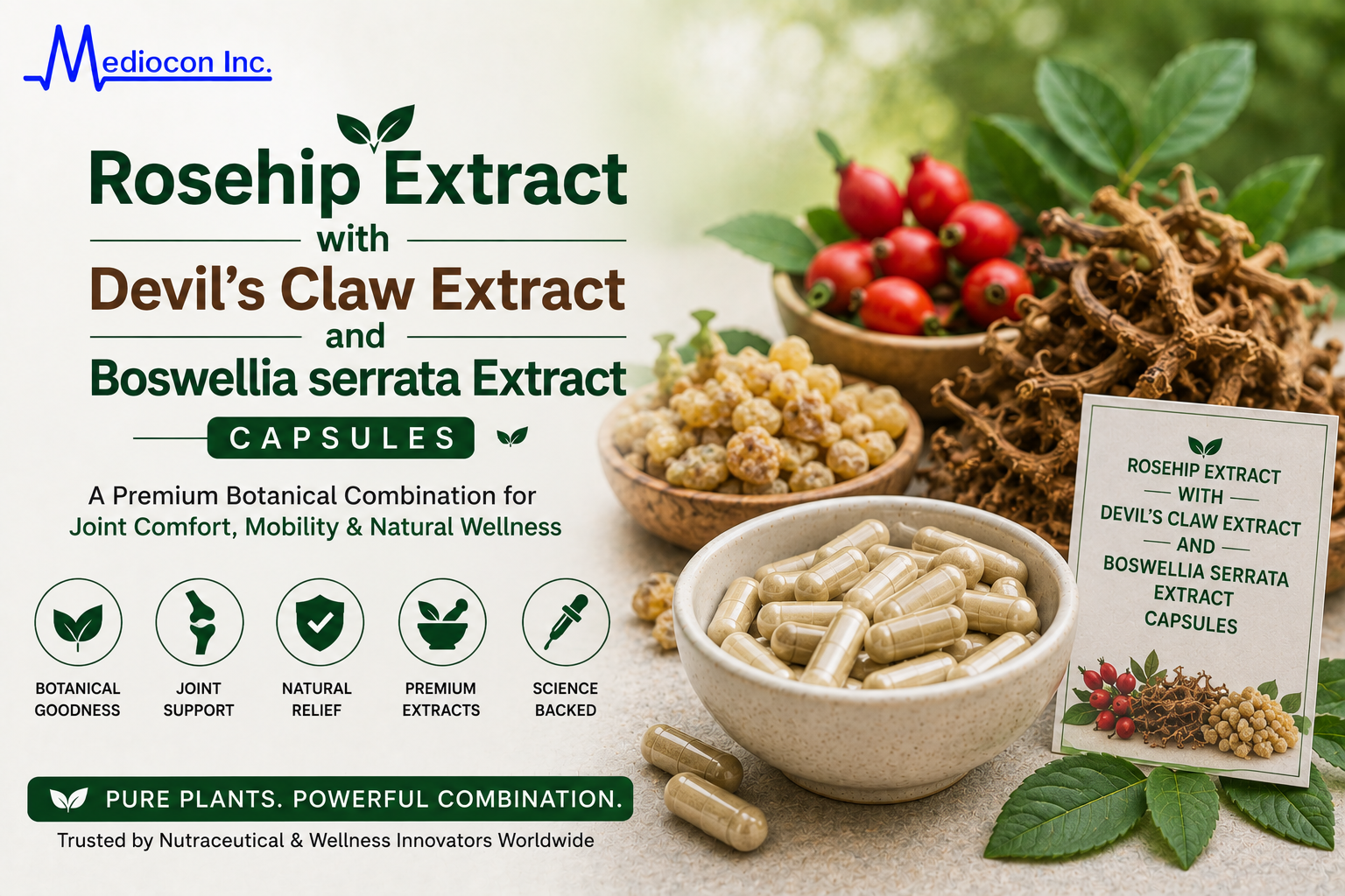 Rosehip Extract with Devil's Claw and Boswellia serrata Capsules Manufacturer and Supplier in India | MEDIOCON INC — Mediocon Inc
