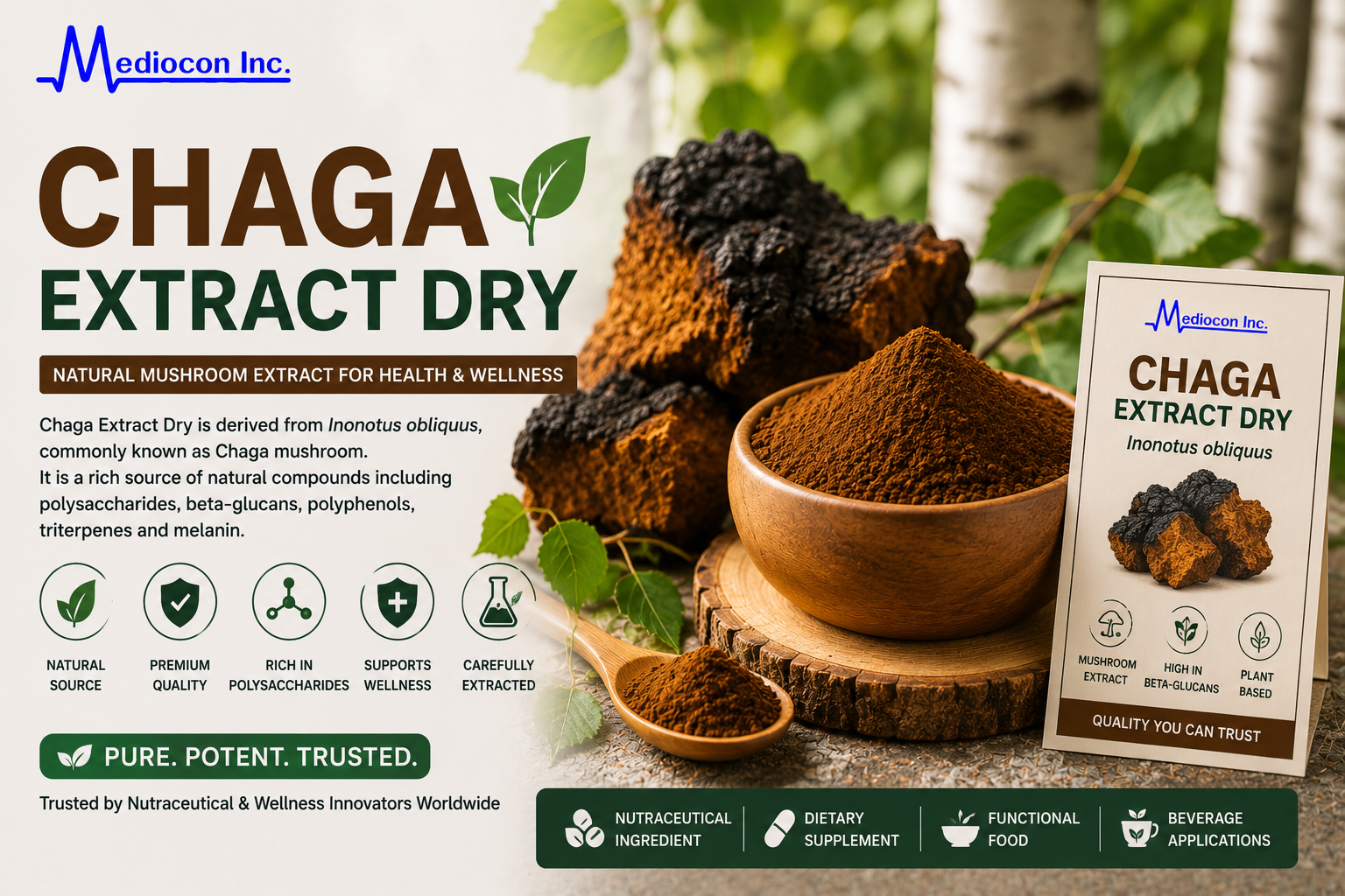 Chaga Extract Dry Manufacturer and Supplier in India | MEDIOCON INC — Mediocon Inc