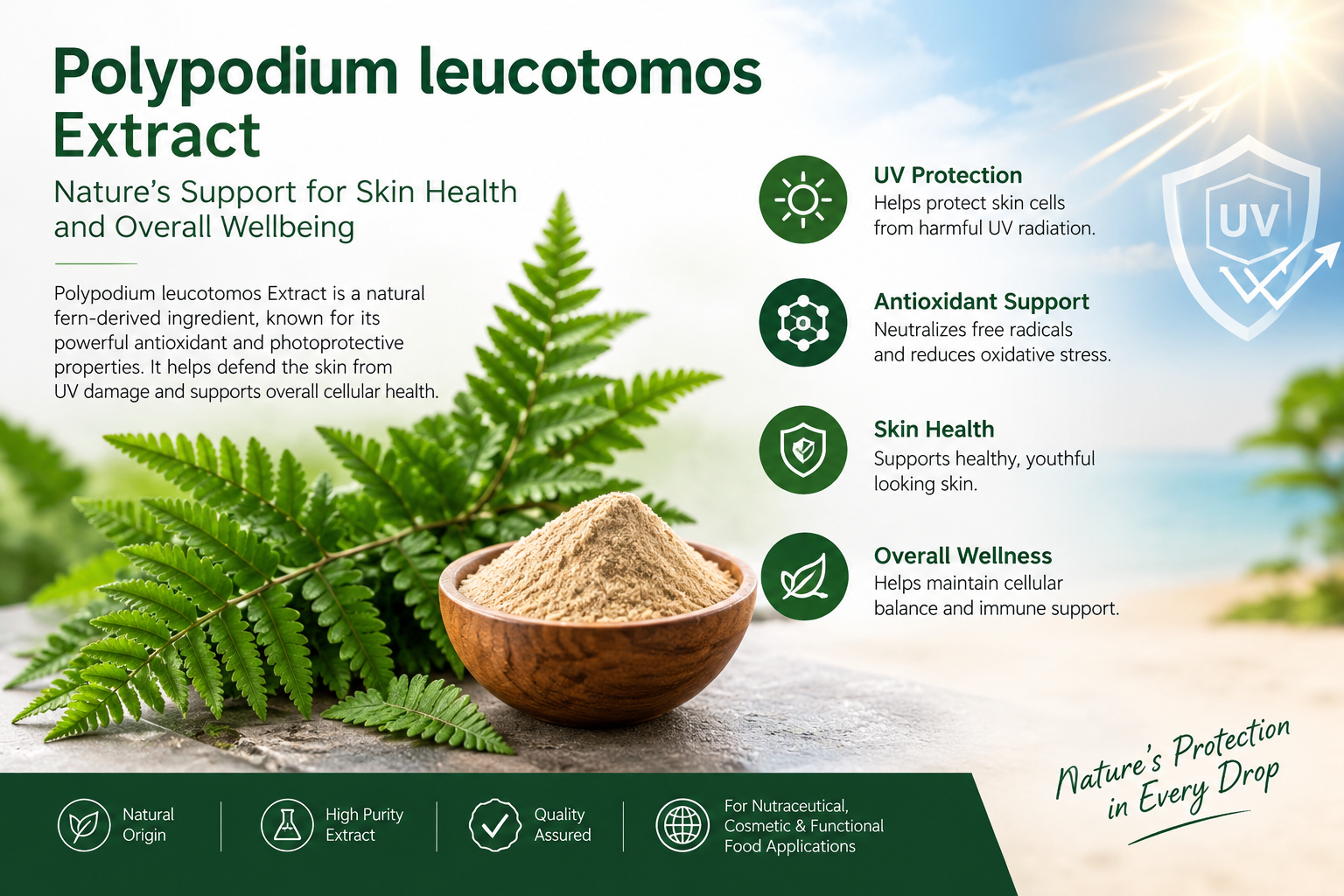 Polypodium leucotomos Extract – Manufacturer & Supplier in India — Mediocon Inc