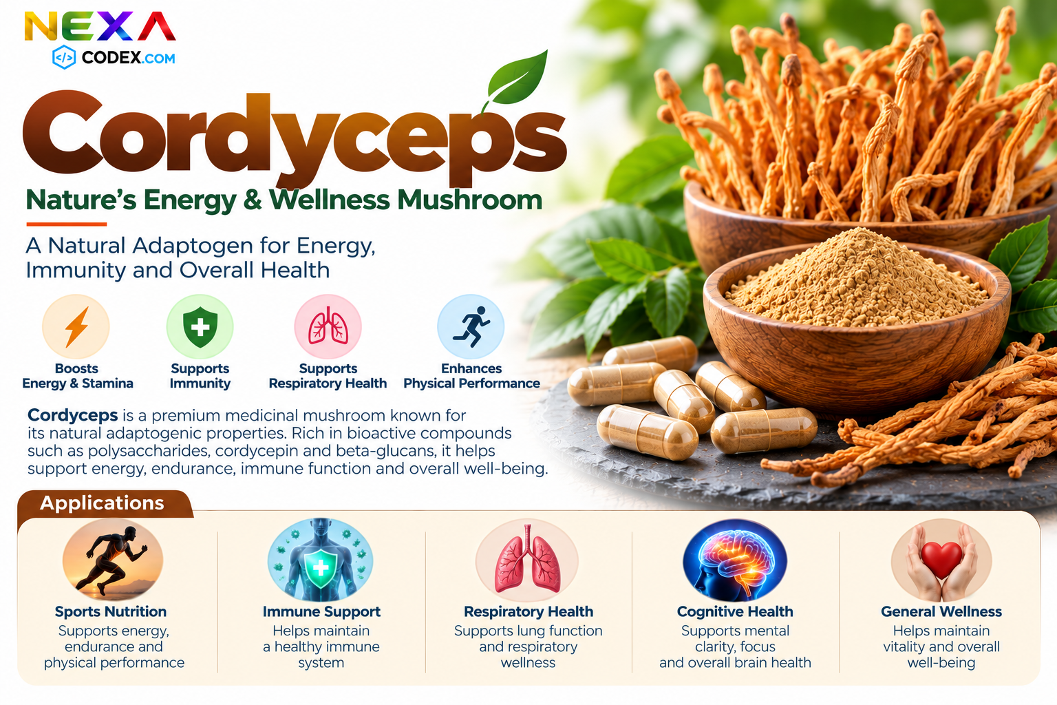 Cordyceps Manufacturer in India | Mediocon Inc. — Mediocon Inc