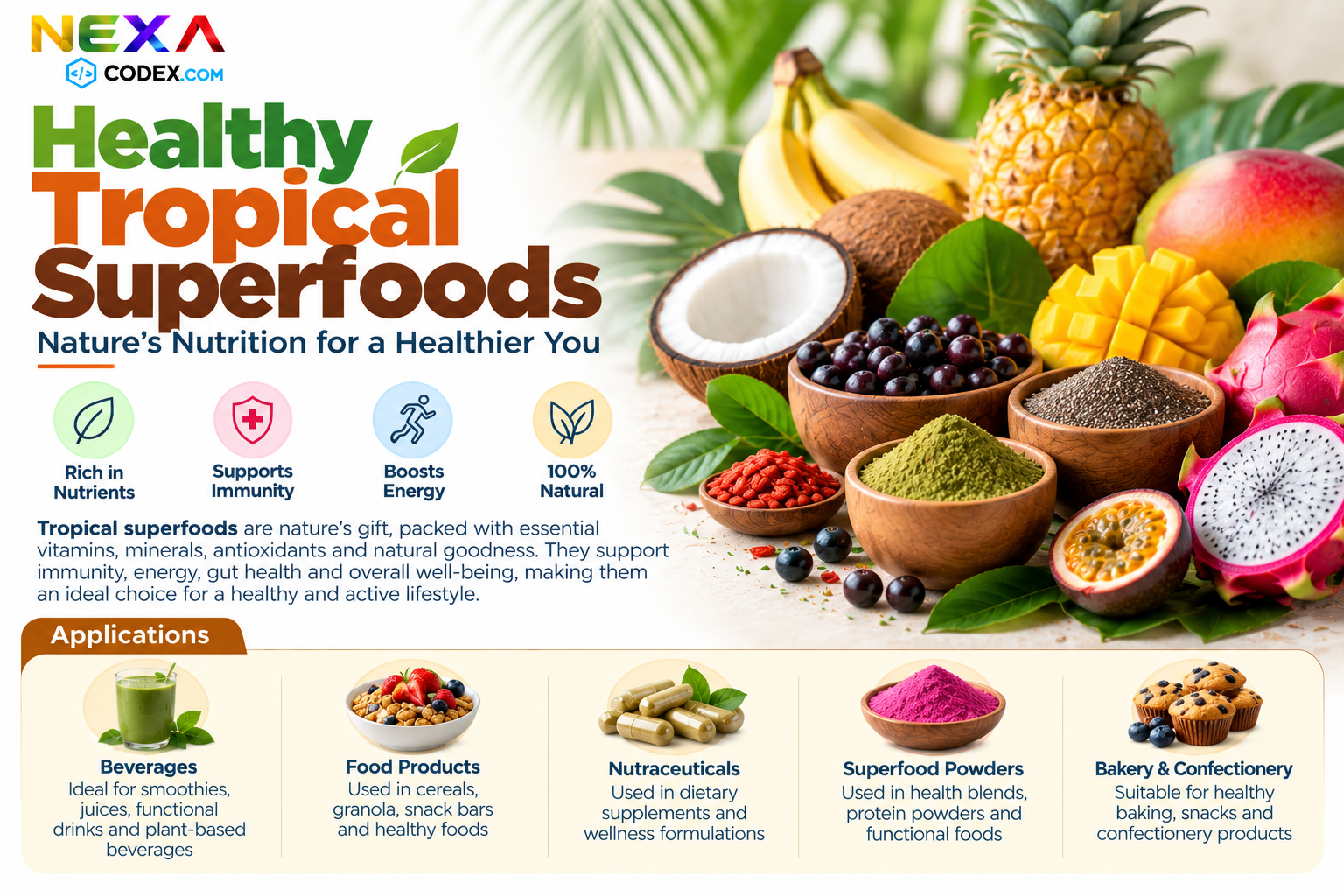 Healthy Tropical Superfoods Manufacturer in India | Mediocon Inc. — Mediocon Inc