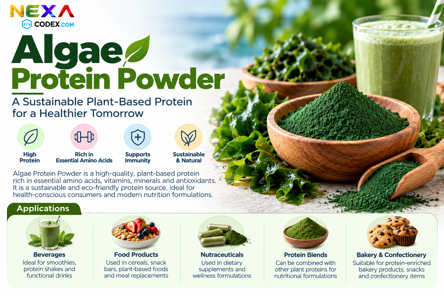 Algae Protein Powder Manufacturer in India | Mediocon Inc. — Mediocon Inc