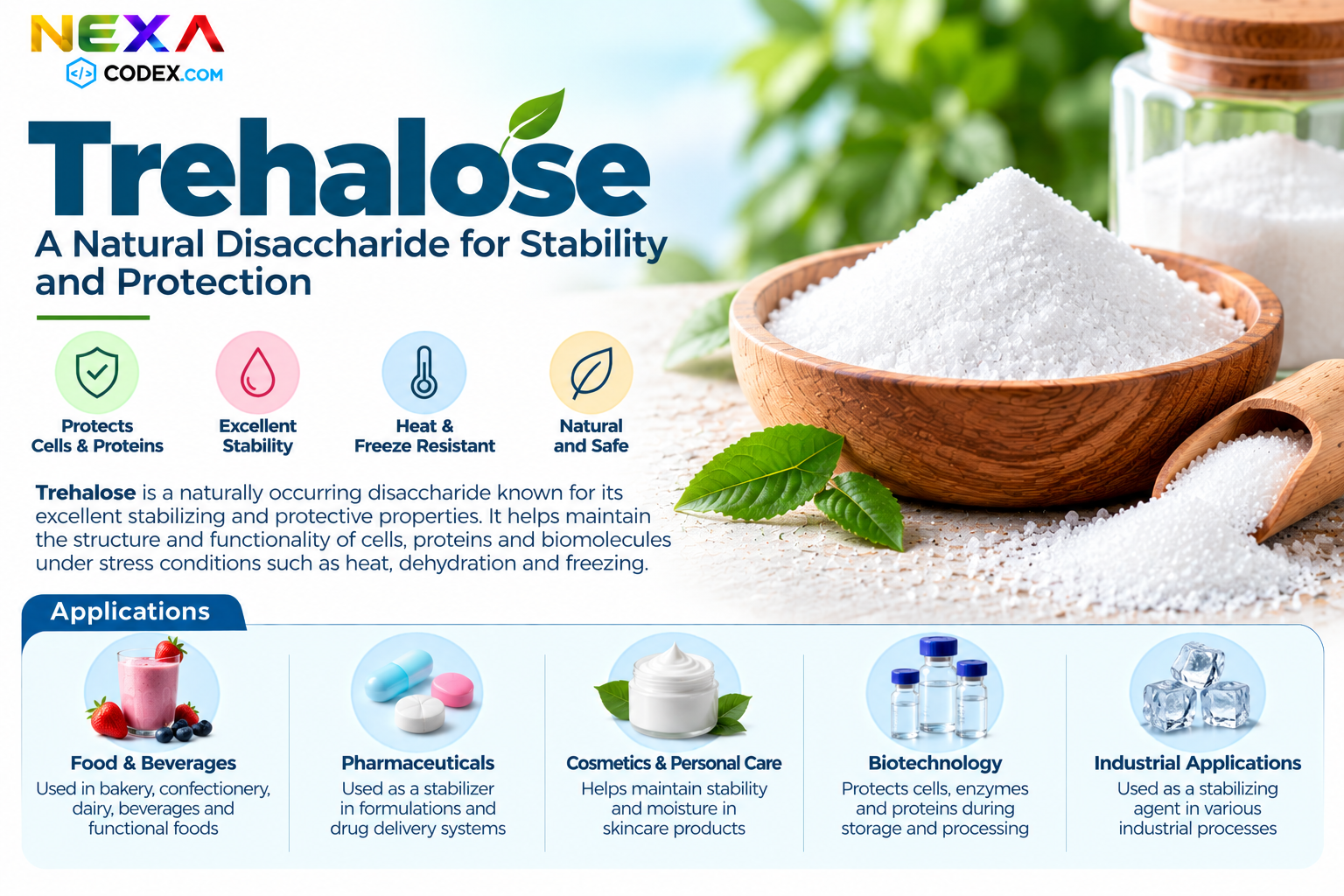 Trehalose Manufacturer in India | Mediocon Inc. — Mediocon Inc