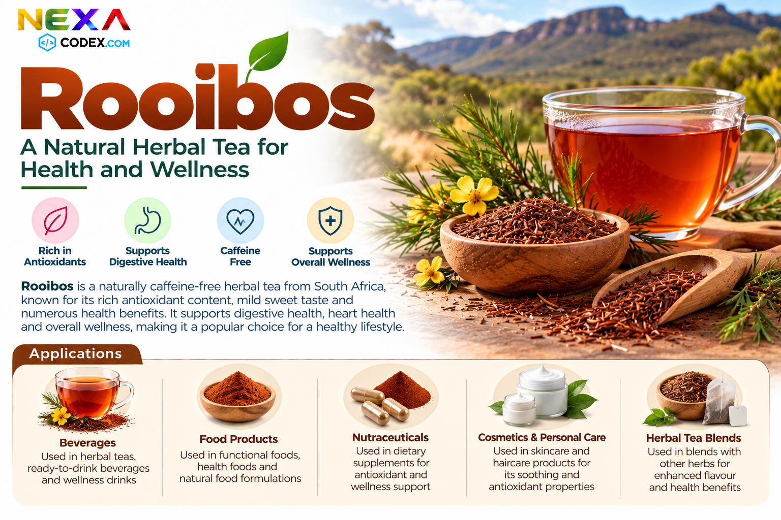 Rooibos Manufacturer in India | Mediocon Inc. — Mediocon Inc