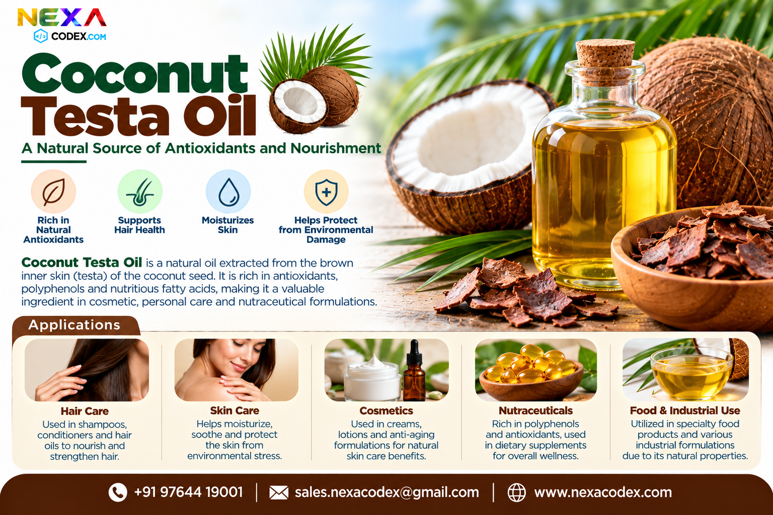 Coconut Testa Oil Manufacturer in India | Mediocon Inc. — Mediocon Inc