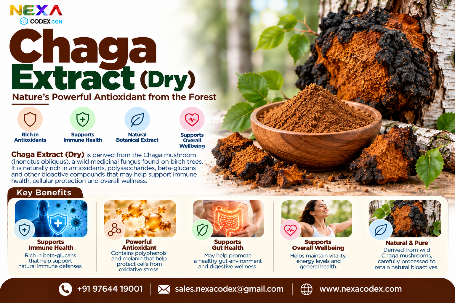 Chaga Extract Dry Manufacturer in India | Mediocon Inc. — Mediocon Inc